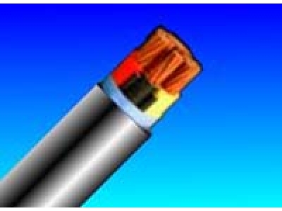 額定電壓0.6.jpg